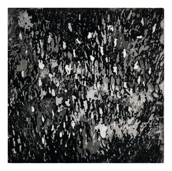 lampions-2011_cadreblancweb